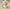 TimeShare Cino Garden Fairies. Whole box set.