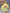 Noci Dreamland Rabbit Baby Three