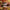 POP MART Original - Kung Fu Panda 4 - with 9 action figures. Mystery box.
