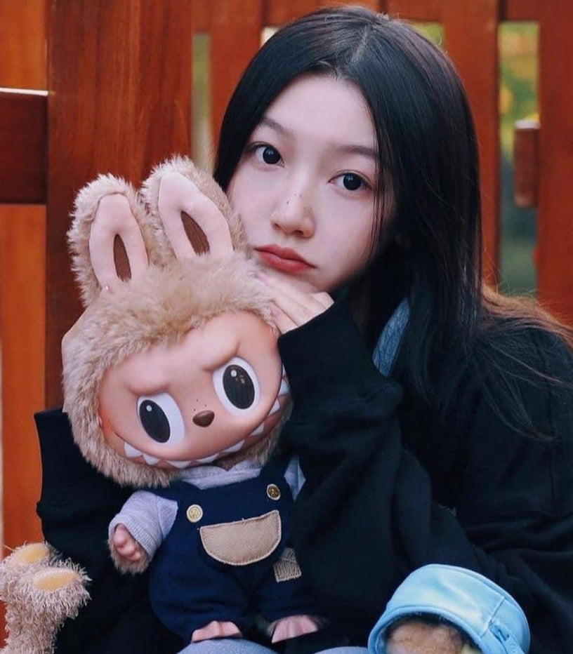 THE MONSTERS TIME TO CHILL ラブブ（LABUBU） Labubu The Monsters Time to Chill Vinyl Plush Doll Limited