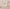 Winter Wonderland Gift Mystery Box