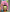 COSBI Official Licensed Squid Game Series 2 Blind Box